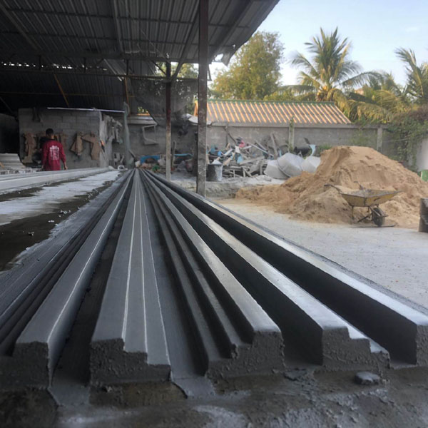 เสาโรมันคู่ตกแต่งทางเข้าอาคาร